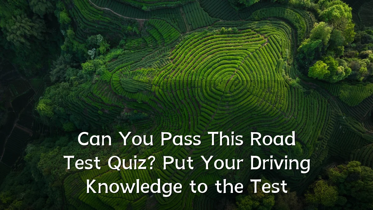 Can You Pass This Road Test Quiz? Put Your Driving Knowledge to the Test