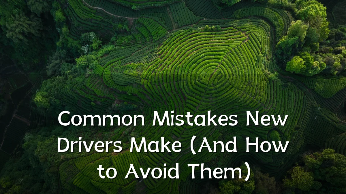 Common Mistakes New Drivers Make (And How to Avoid Them)