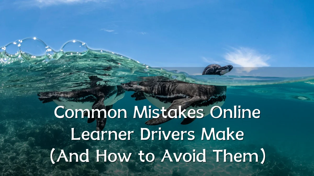 Common Mistakes Online Learner Drivers Make (And How to Avoid Them)