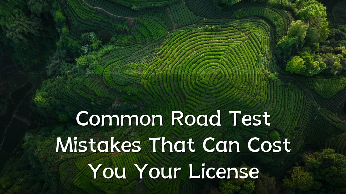 Common Road Test Mistakes That Can Cost You Your License