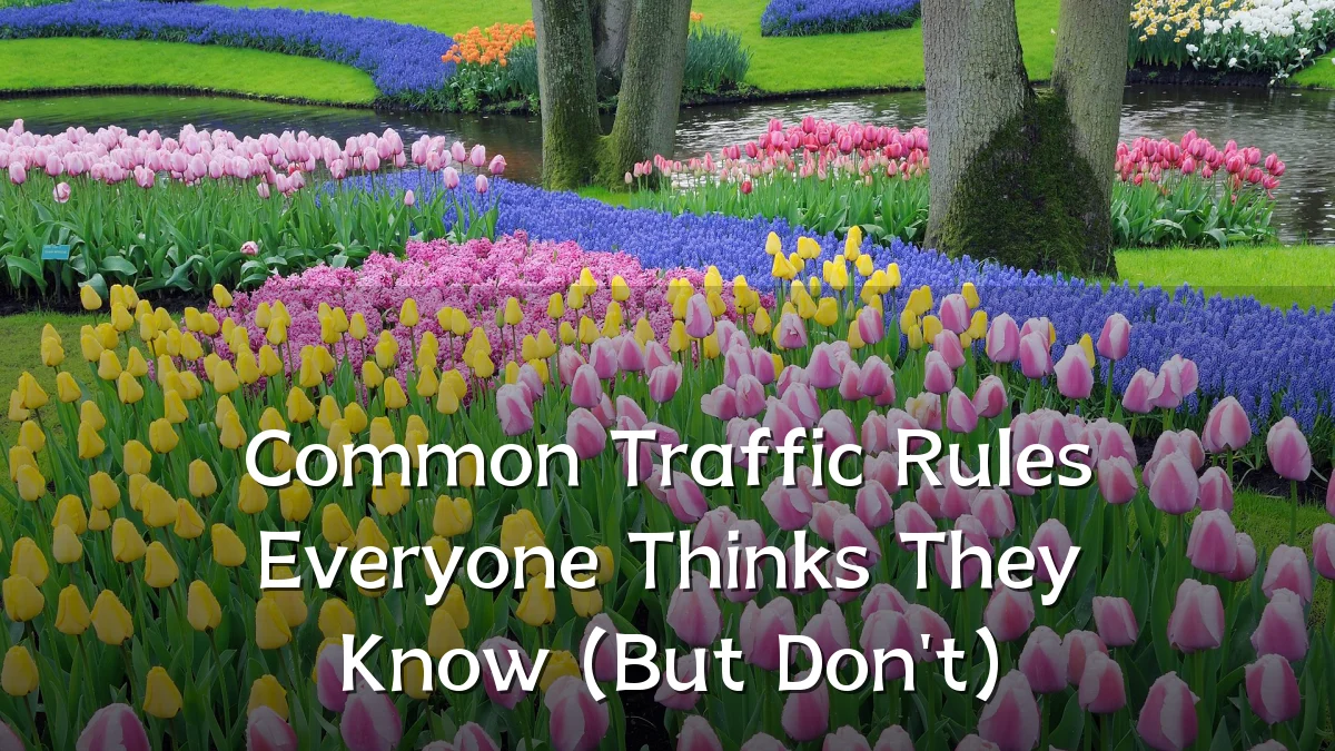 Common Traffic Rules Everyone Thinks They Know (But Don't)