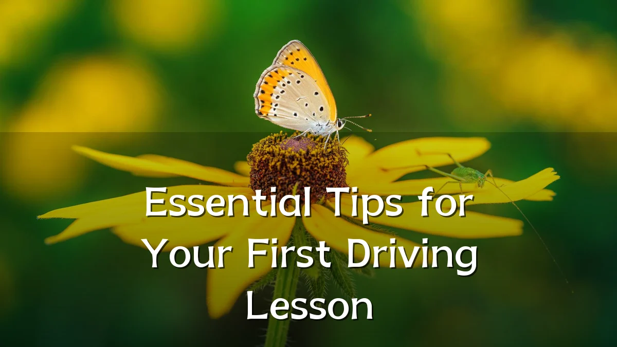 Essential Tips for Your First Driving Lesson