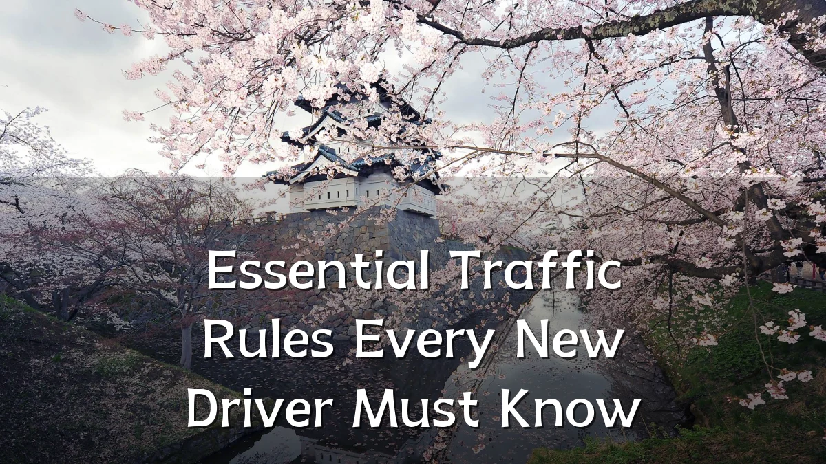 Essential Traffic Rules Every New Driver Must Know