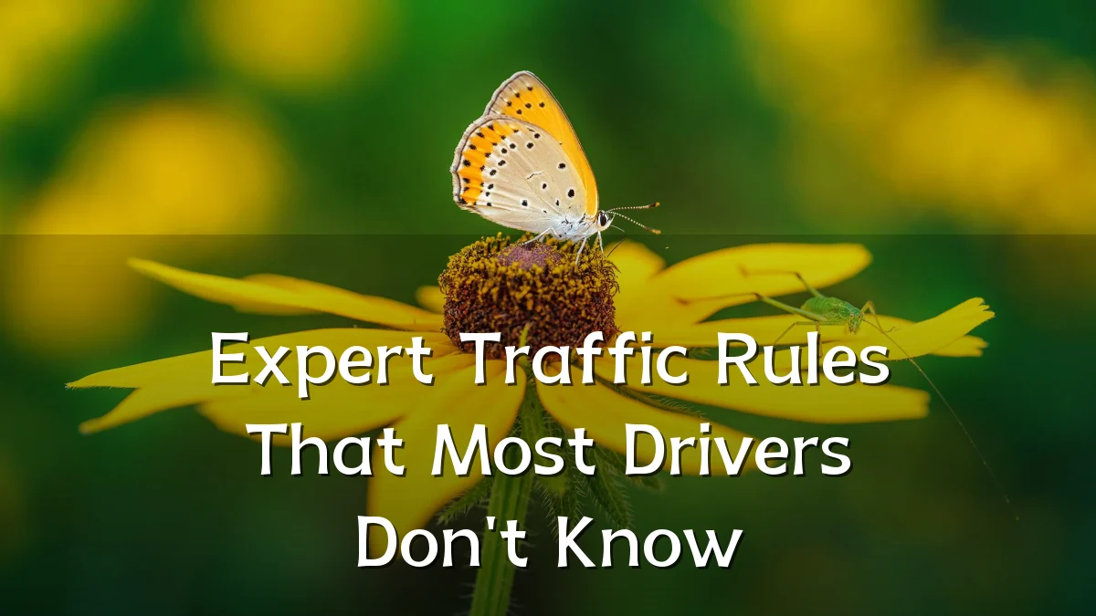 Expert Traffic Rules That Most Drivers Don't Know