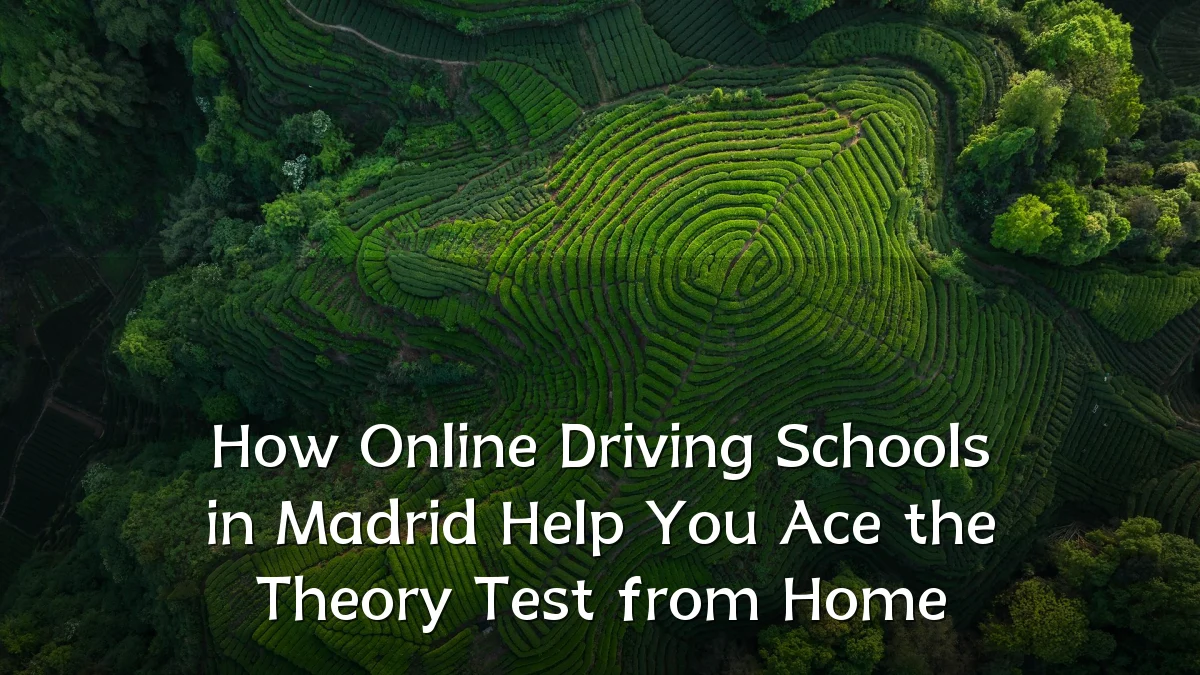 How Online Driving Schools in Madrid Help You Ace the Theory Test from Home
