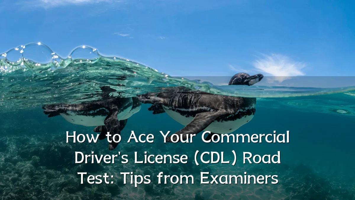 How to Ace Your Commercial Driver's License (CDL) Road Test: Tips from Examiners