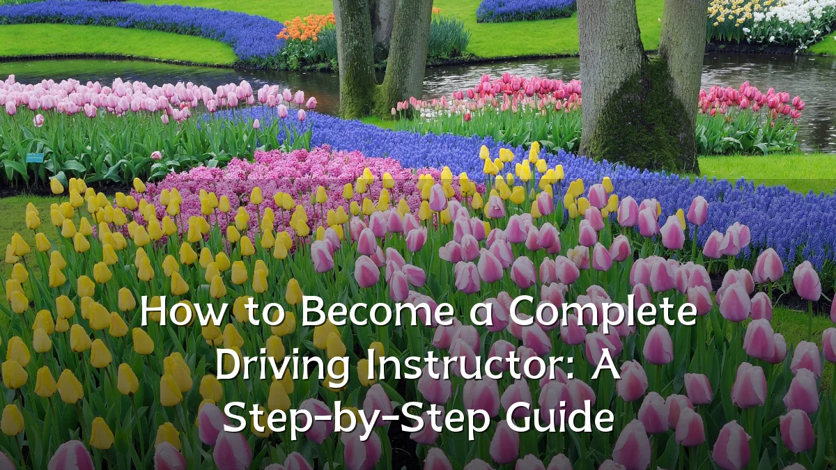 How to Become a Complete Driving Instructor: A Step-by-Step Guide