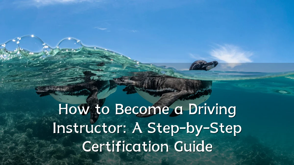 How to Become a Driving Instructor: A Step-by-Step Certification Guide