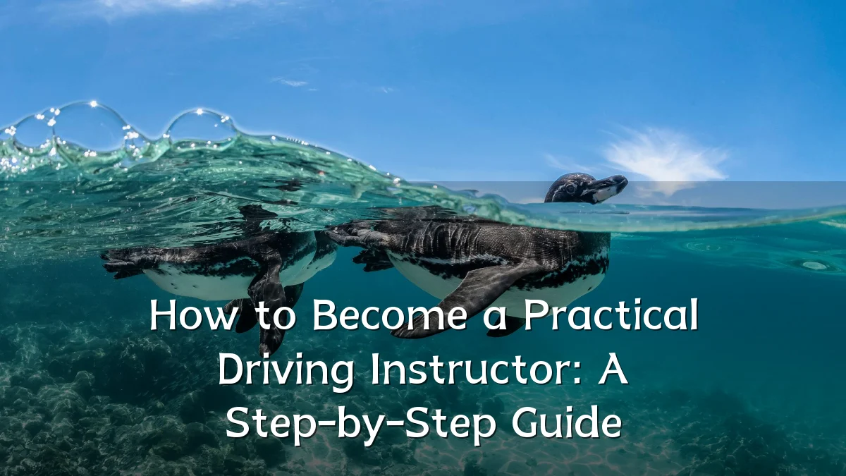 How to Become a Practical Driving Instructor: A Step-by-Step Guide