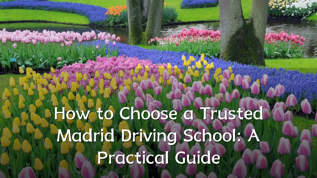 How to Choose a Trusted Madrid Driving School: A Practical Guide