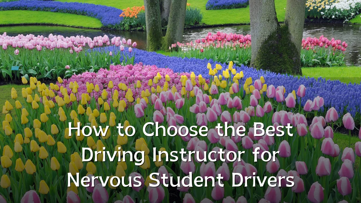 How to Choose the Best Driving Instructor for Nervous Student Drivers