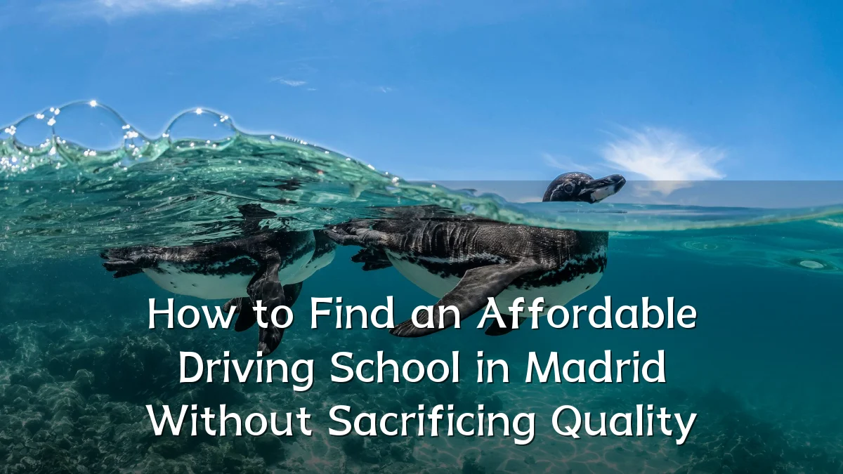 How to Find an Affordable Driving School in Madrid Without Sacrificing Quality