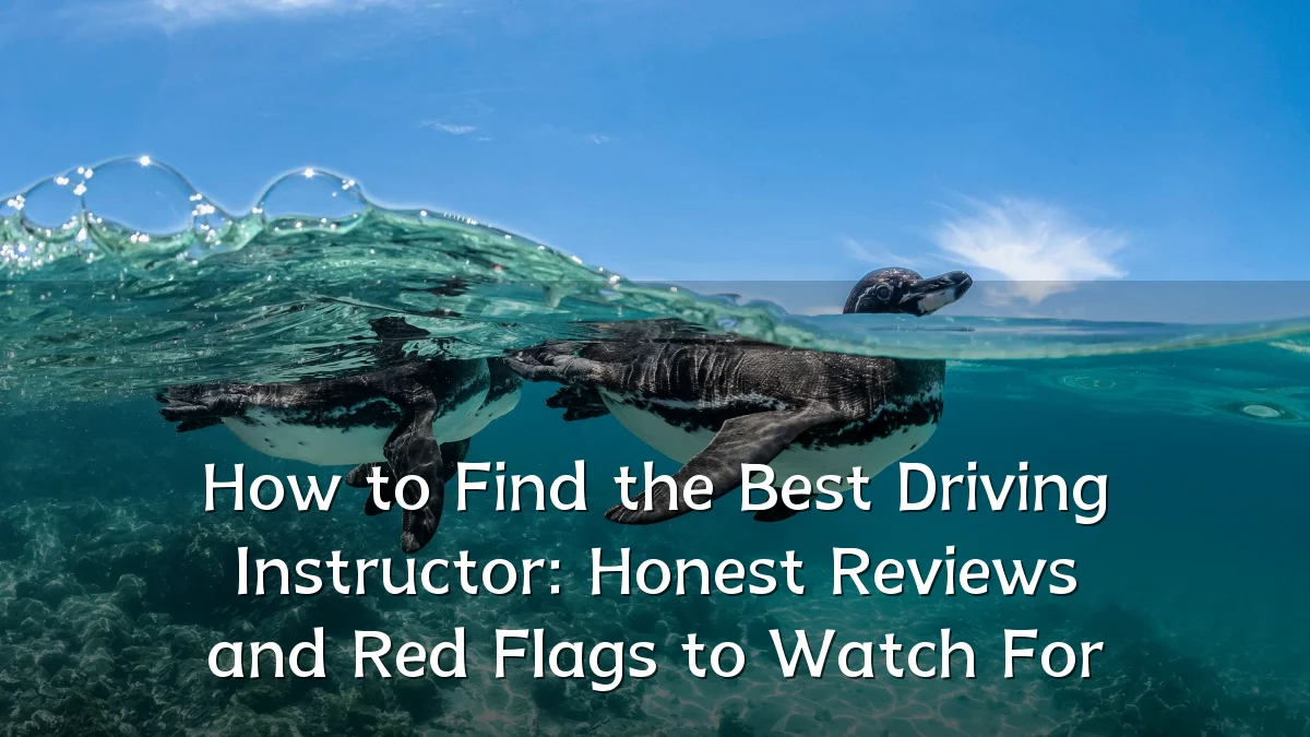How to Find the Best Driving Instructor: Honest Reviews and Red Flags to Watch For