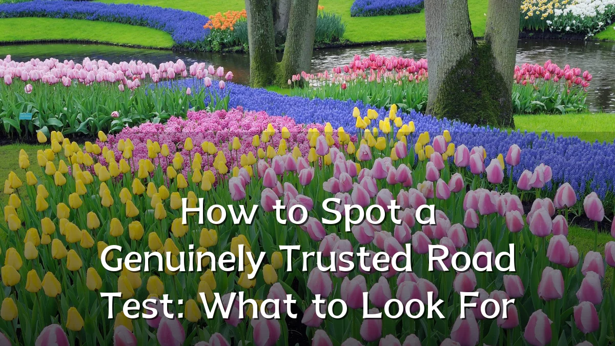 How to Spot a Genuinely Trusted Road Test: What to Look For