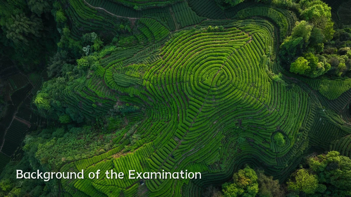 Background of the Examination