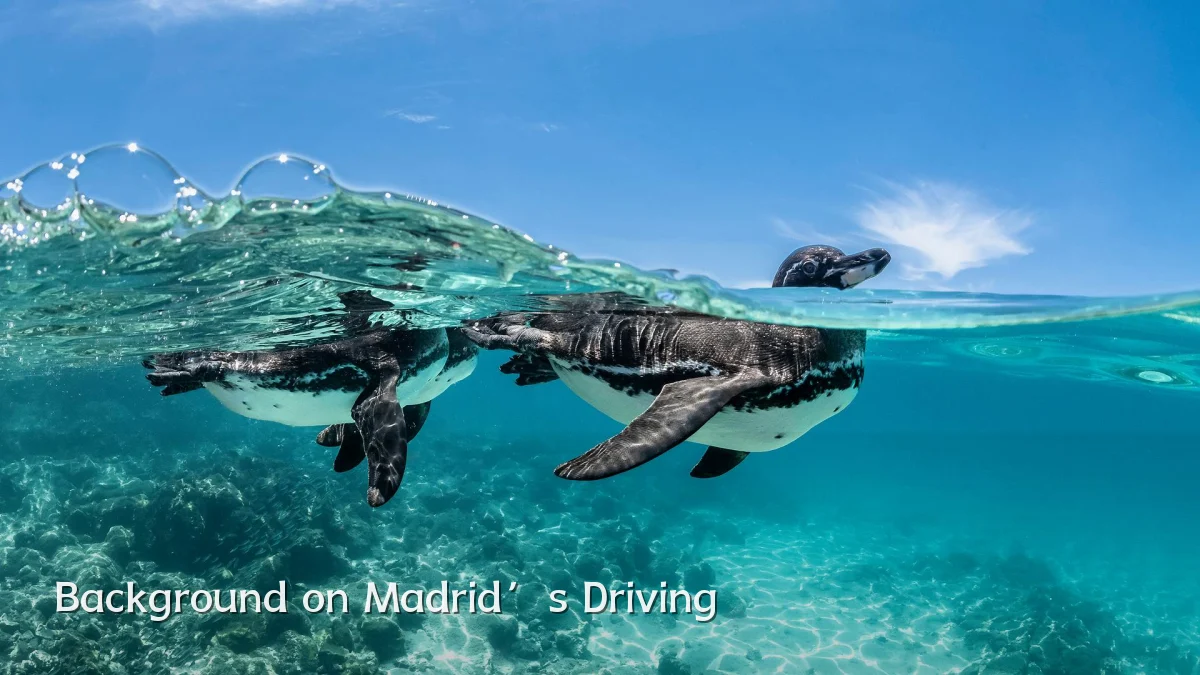 Background on Madrid’s Driving
