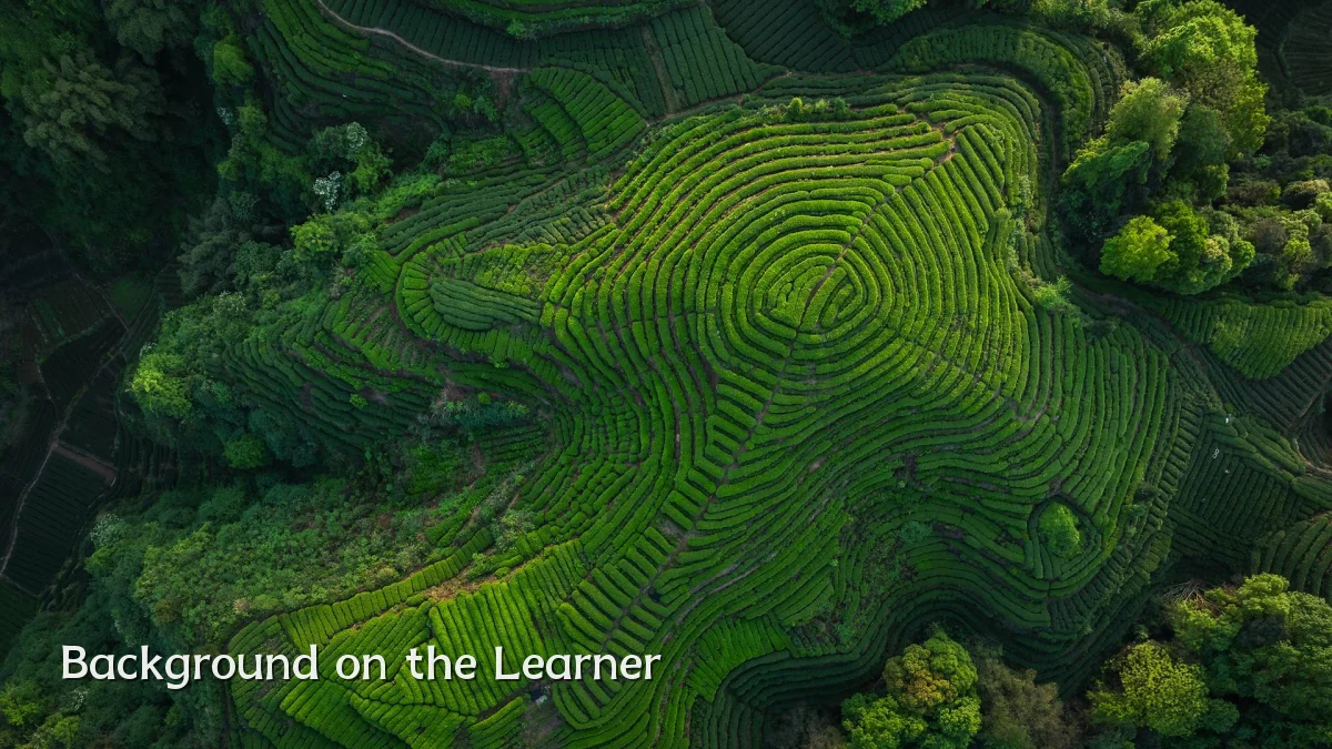 Background on the Learner