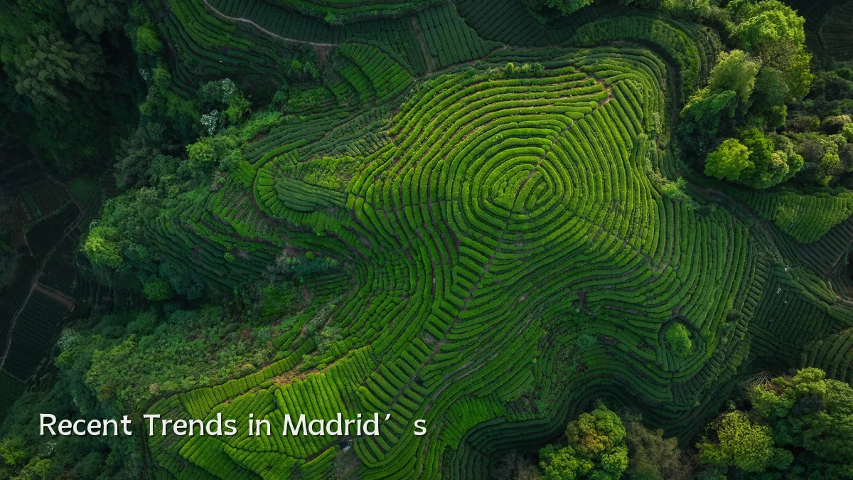 Recent Trends in Madrid’s