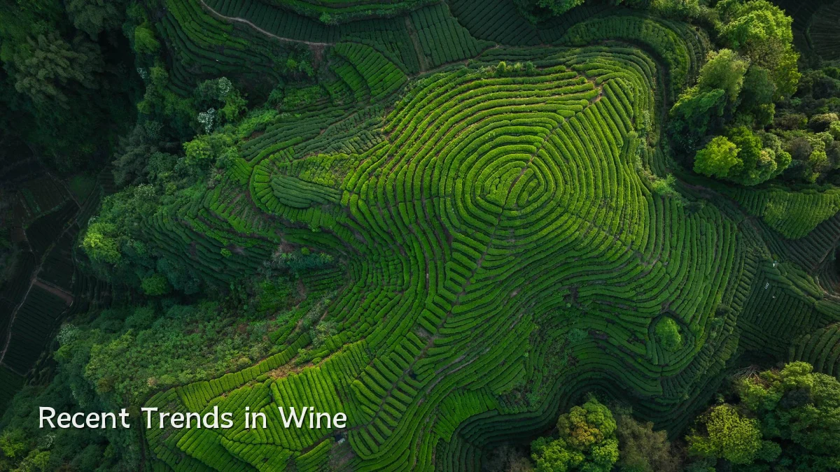 Recent Trends in Wine