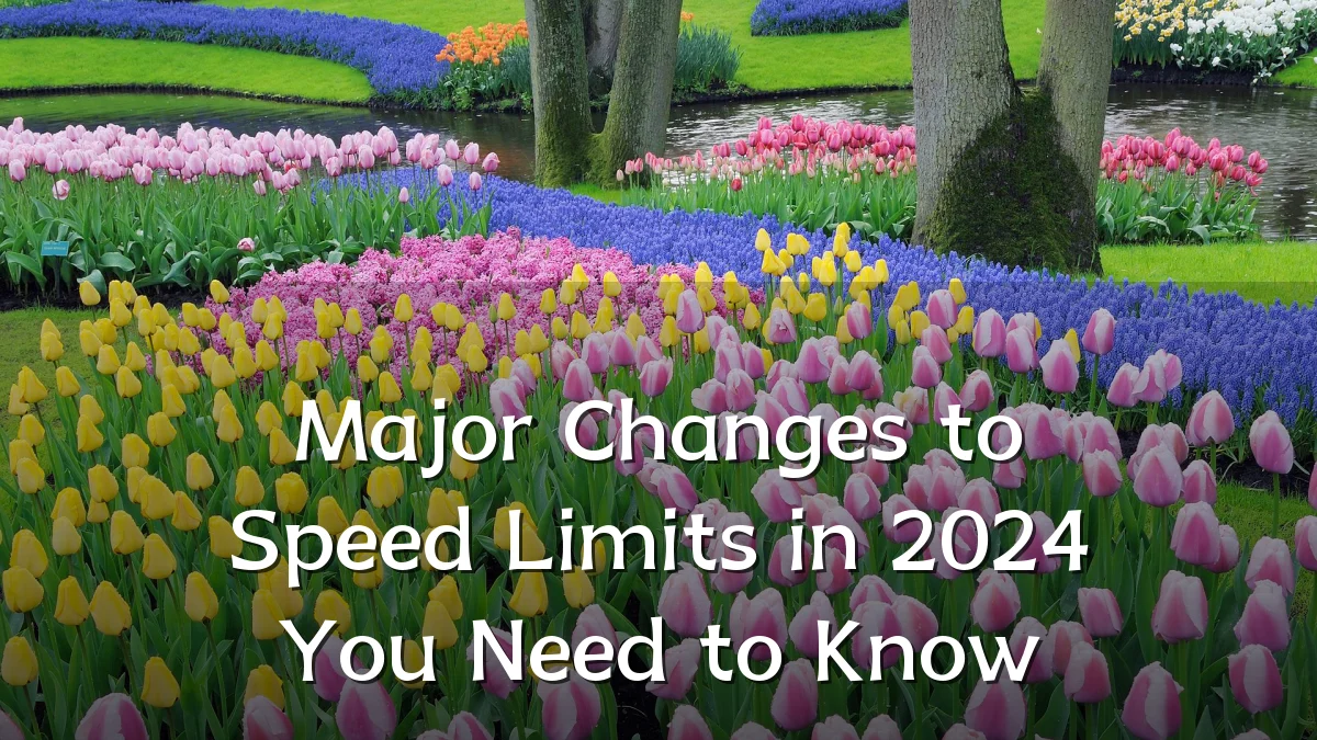 Major Changes to Speed Limits in 2024 You Need to Know