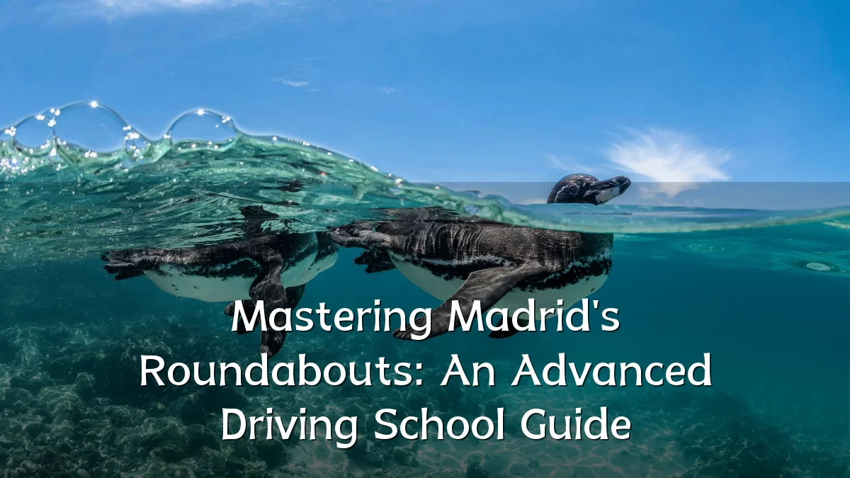 Mastering Madrid's Roundabouts: An Advanced Driving School Guide