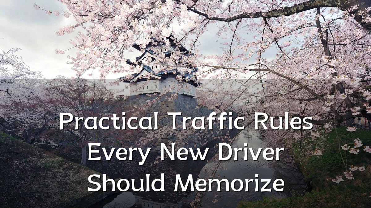 Practical Traffic Rules Every New Driver Should Memorize