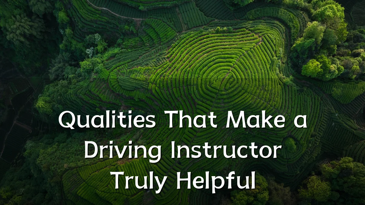 Qualities That Make a Driving Instructor Truly Helpful