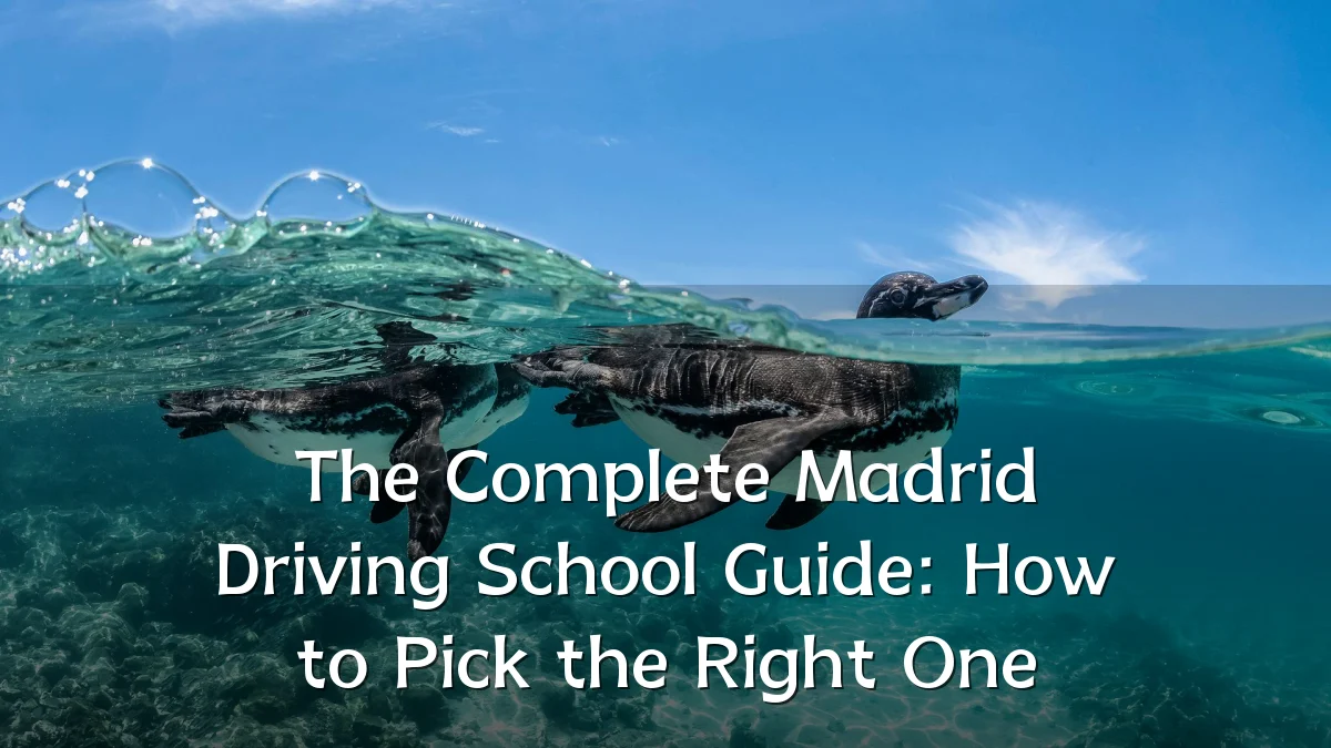 The Complete Madrid Driving School Guide: How to Pick the Right One