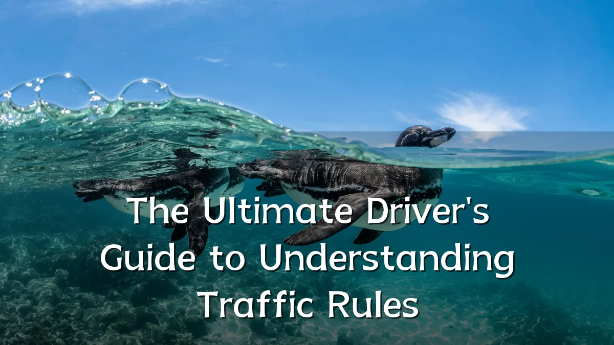 The Ultimate Driver's Guide to Understanding Traffic Rules