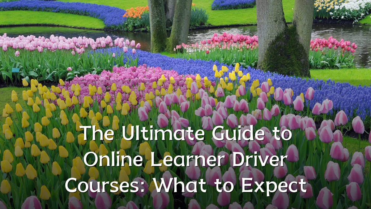 The Ultimate Guide to Online Learner Driver Courses: What to Expect