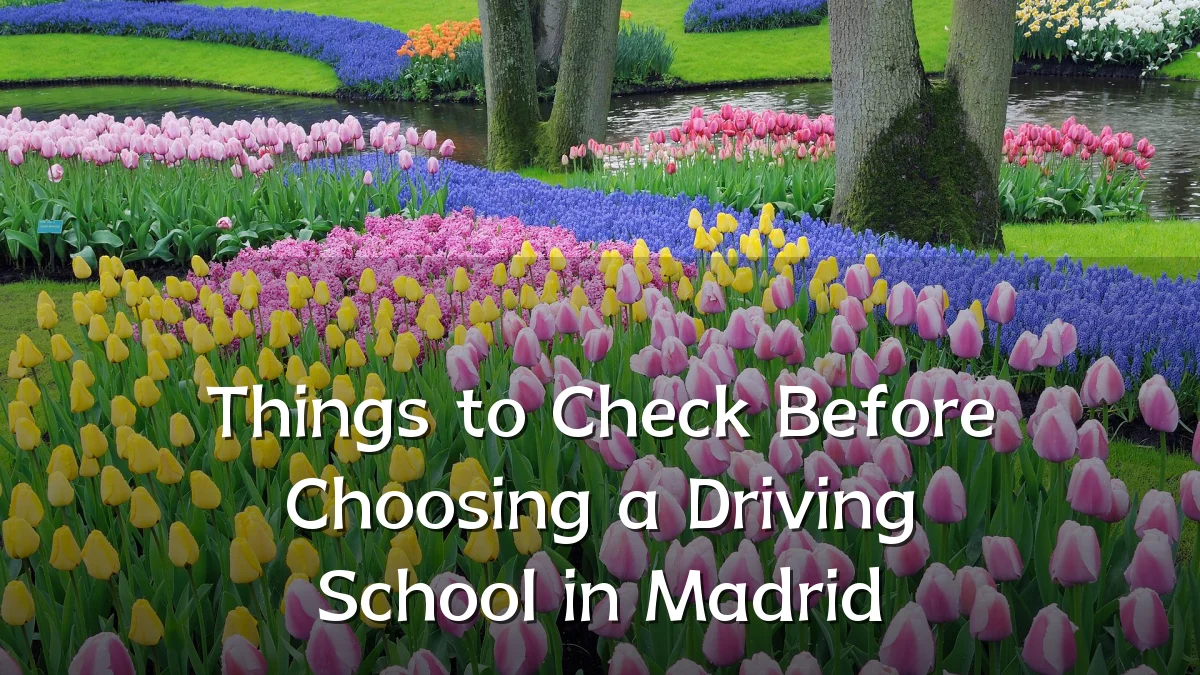 Things to Check Before Choosing a Driving School in Madrid