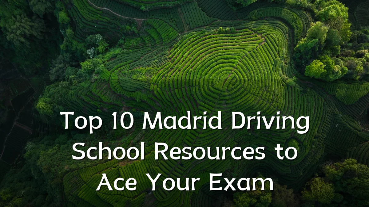 Top 10 Madrid Driving School Resources to Ace Your Exam
