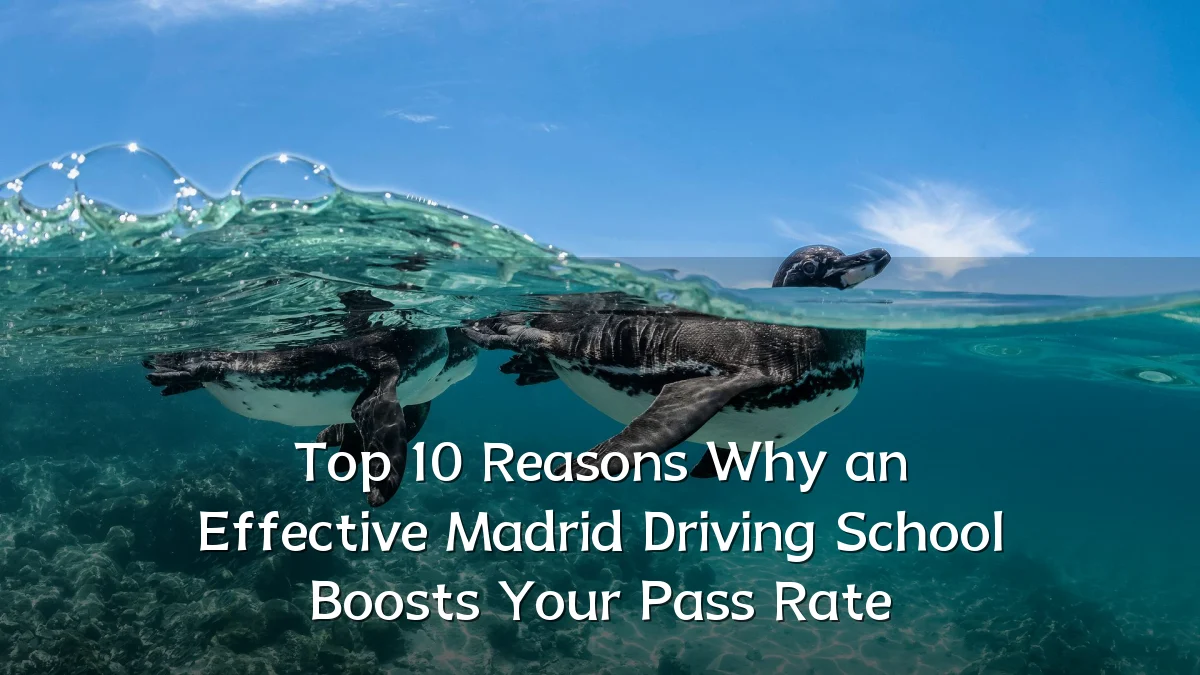 Top 10 Reasons Why an Effective Madrid Driving School Boosts Your Pass Rate