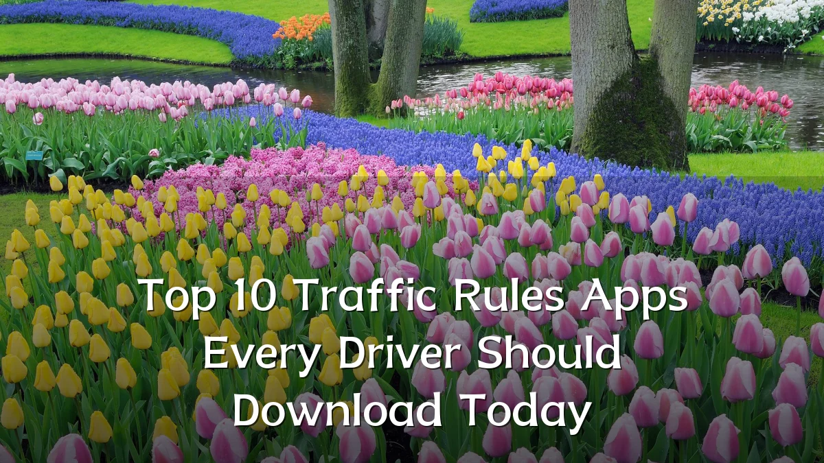 Top 10 Traffic Rules Apps Every Driver Should Download Today