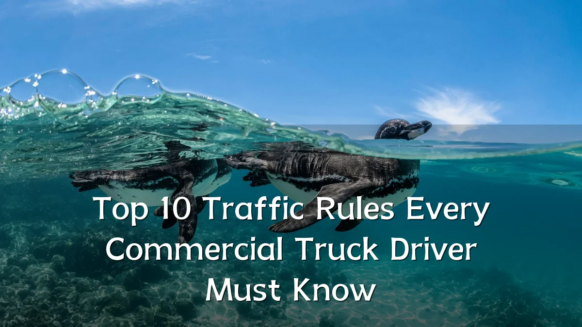 Top 10 Traffic Rules Every Commercial Truck Driver Must Know