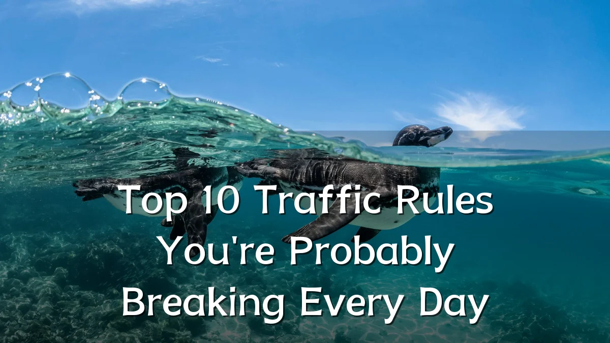 Top 10 Traffic Rules You're Probably Breaking Every Day