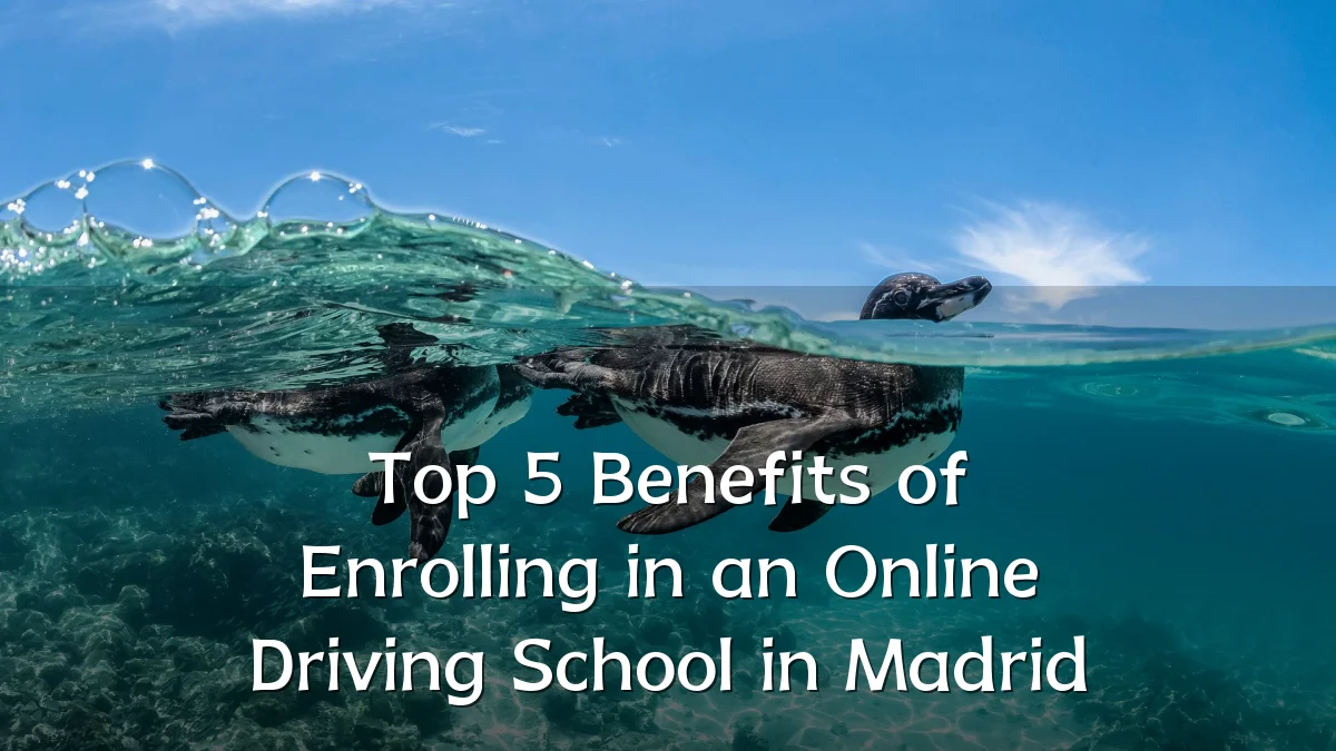 Top 5 Benefits of Enrolling in an Online Driving School in Madrid
