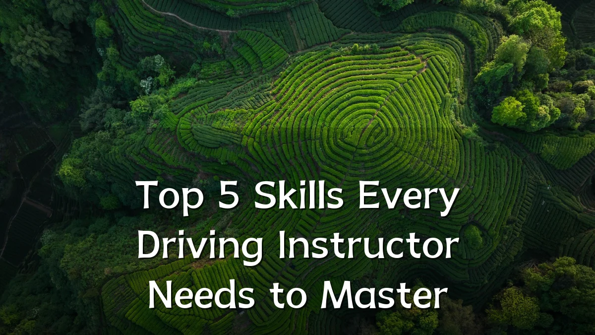 Top 5 Skills Every Driving Instructor Needs to Master
