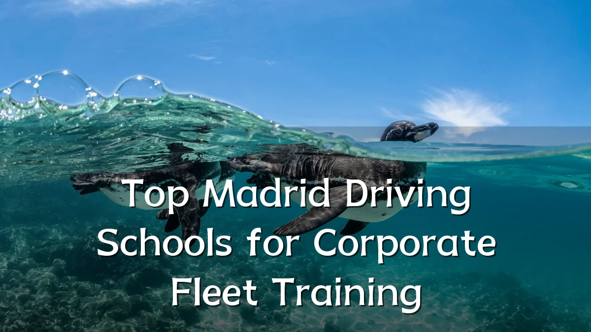 Top Madrid Driving Schools for Corporate Fleet Training