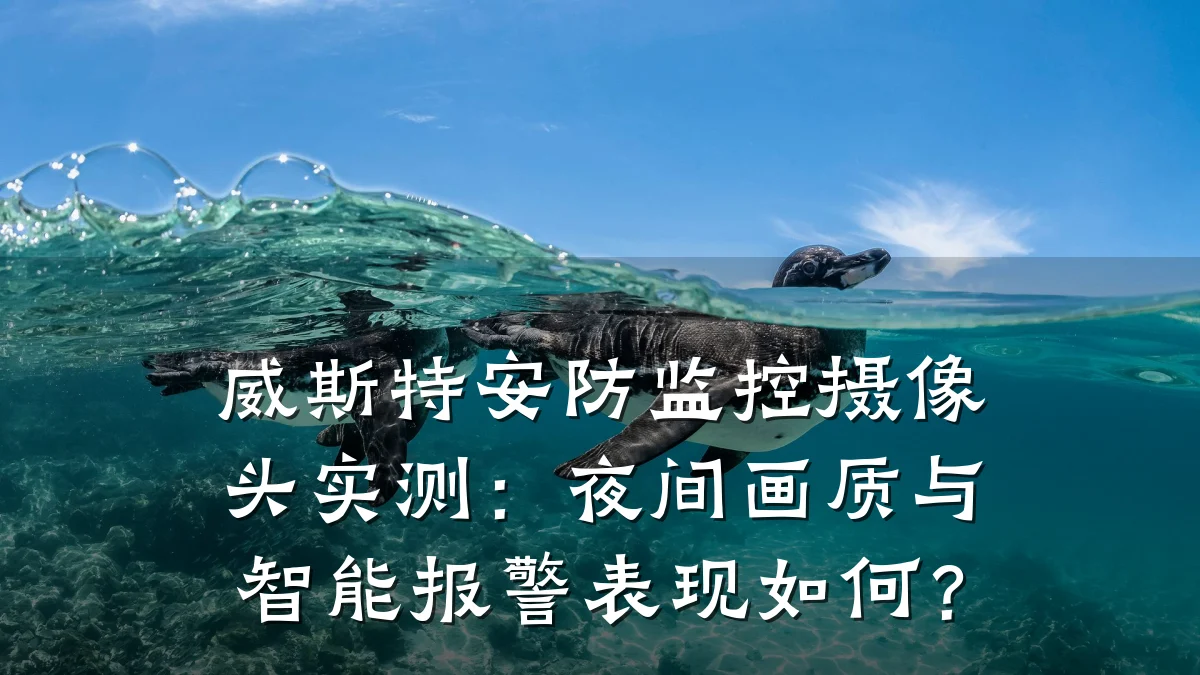 威斯特安防监控摄像头实测：夜间画质与智能报警表现如何？