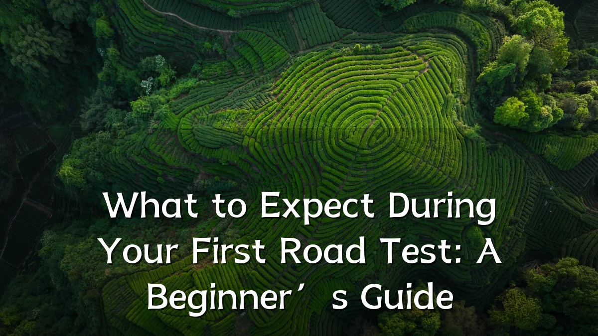 What to Expect During Your First Road Test: A Beginner’s Guide