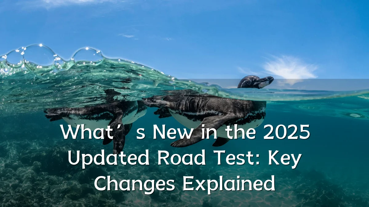 What’s New in the 2025 Updated Road Test: Key Changes Explained