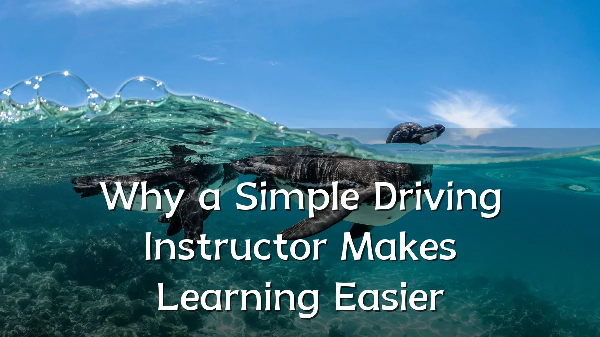 Why a Simple Driving Instructor Makes Learning Easier