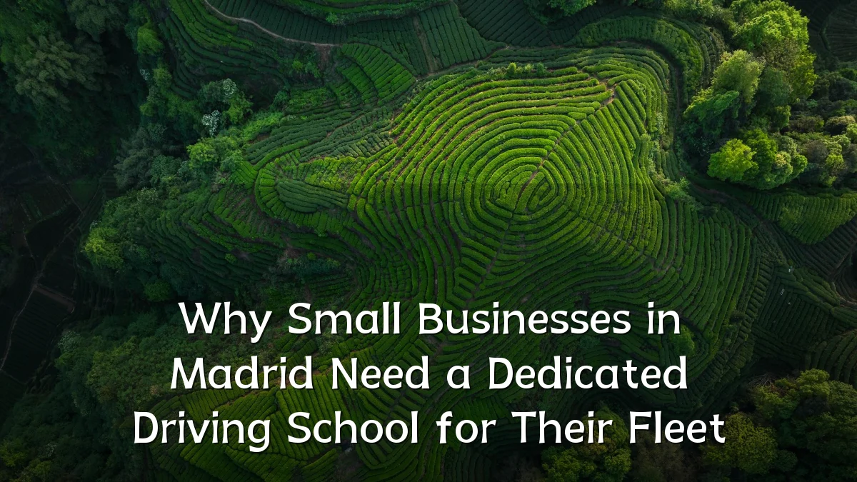 Why Small Businesses in Madrid Need a Dedicated Driving School for Their Fleet