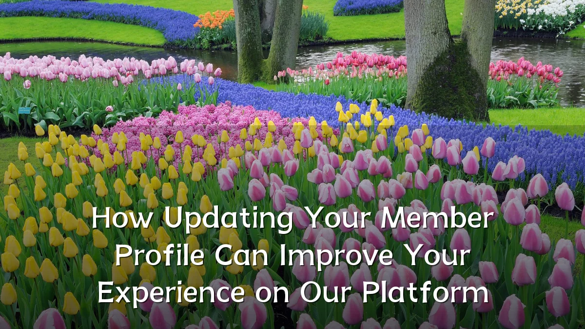 How Updating Your Member Profile Can Improve Your Experience on Our Platform