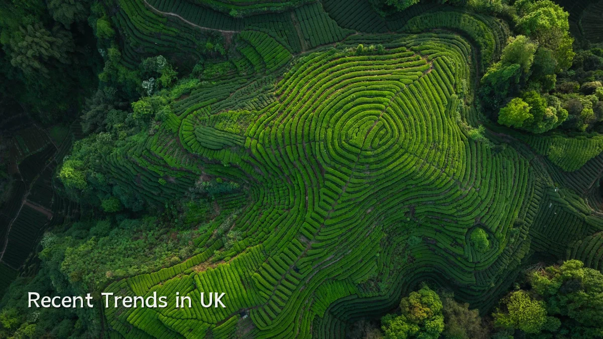 Recent Trends in UK