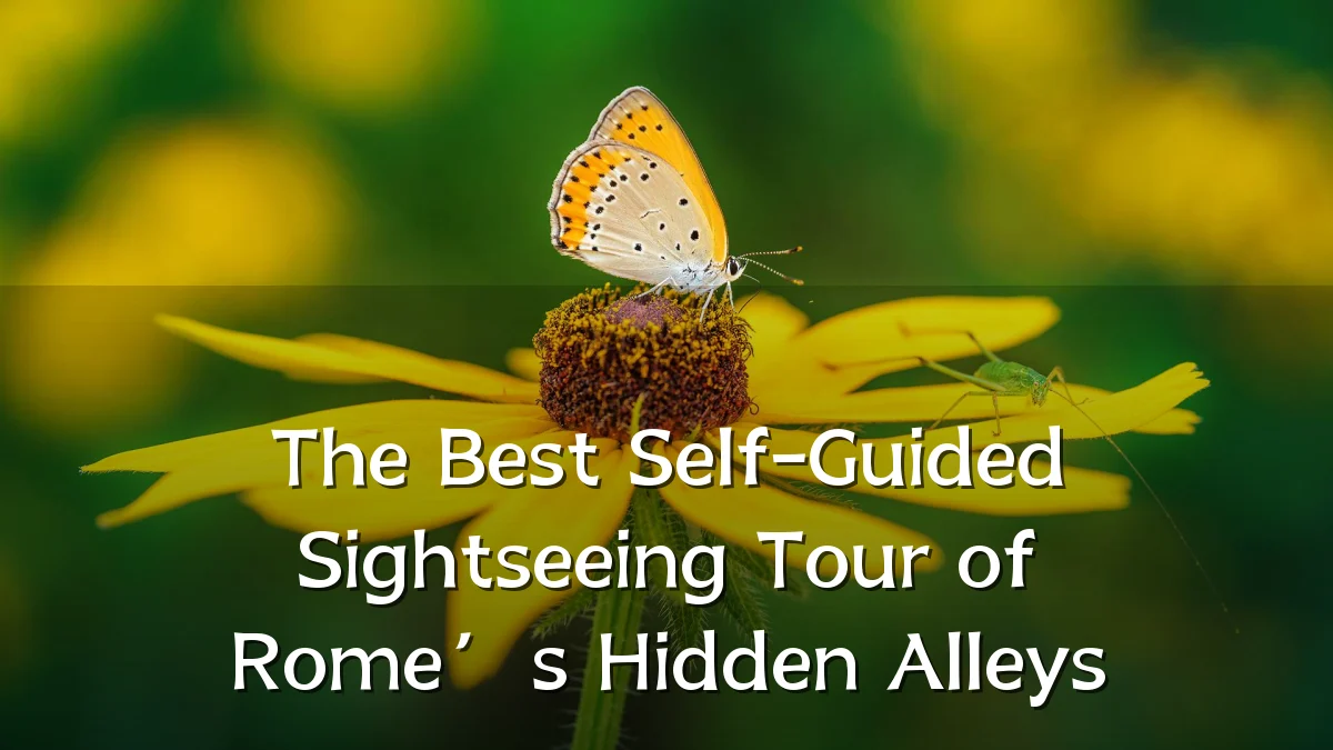 The Best Self-Guided Sightseeing Tour of Rome’s Hidden Alleys
