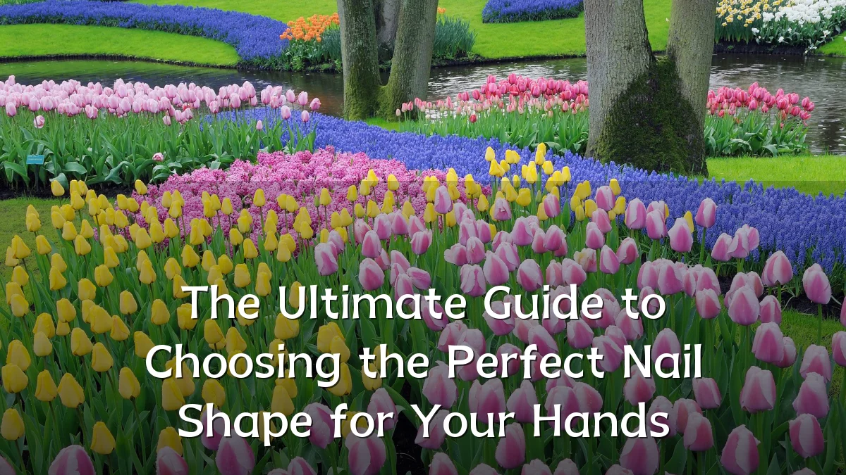 The Ultimate Guide to Choosing the Perfect Nail Shape for Your Hands