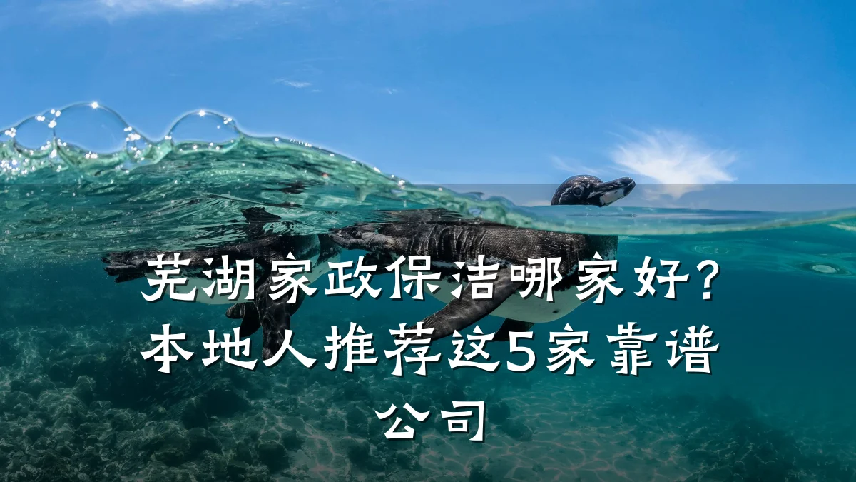 芜湖家政保洁哪家好?本地人推荐这5家靠谱公司