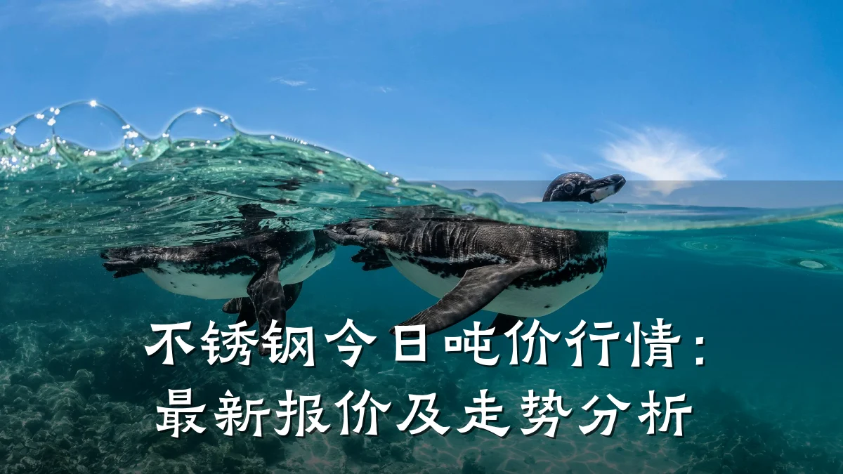 不锈钢今日吨价行情：最新报价及走势分析